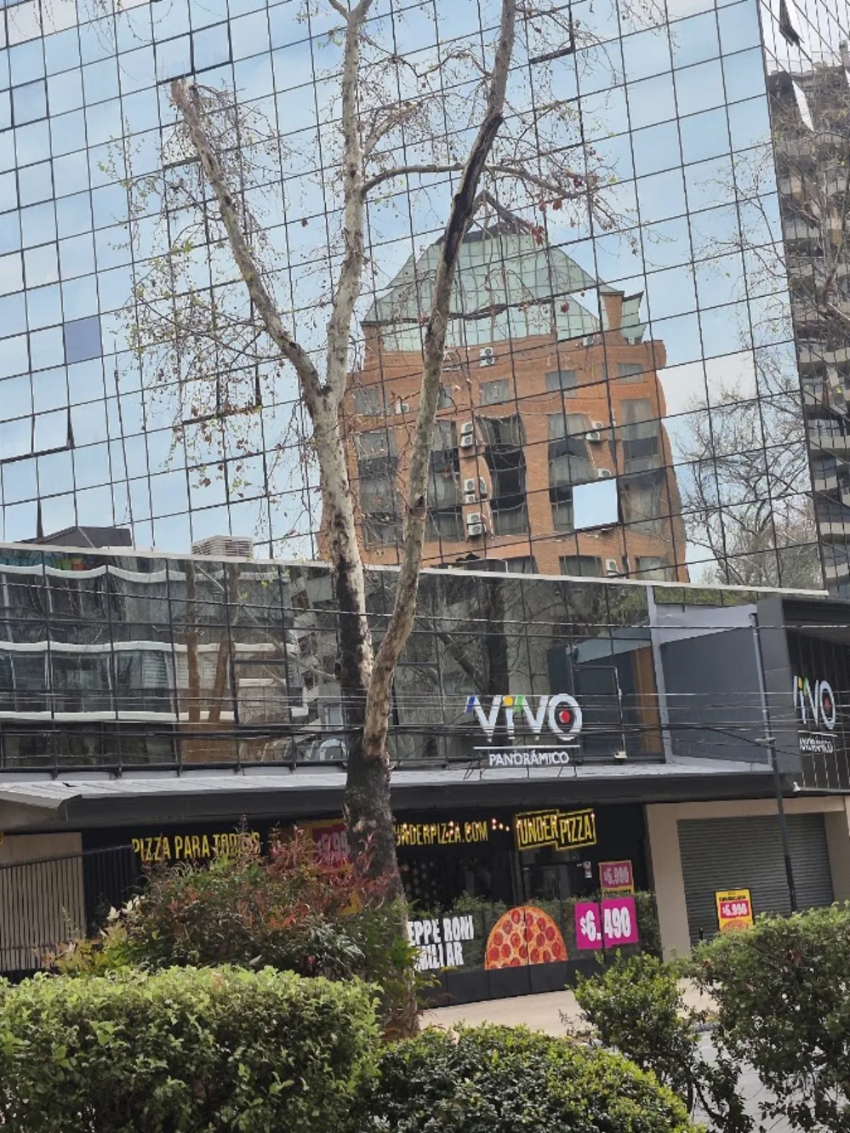 Vivo Panorámico