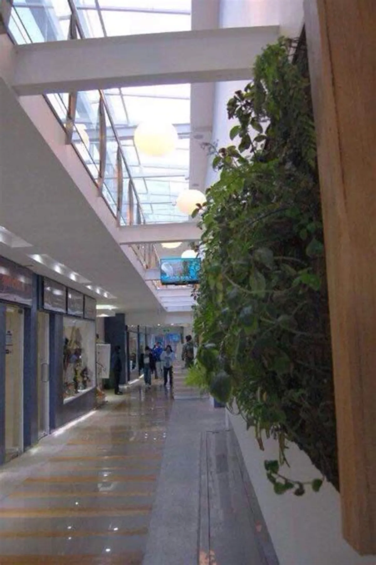 Centro Comercial Varas 727