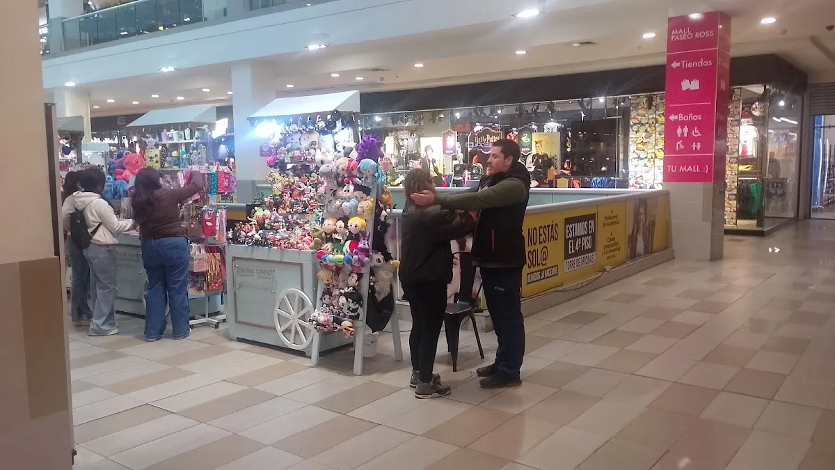 Mall Paseo Ross