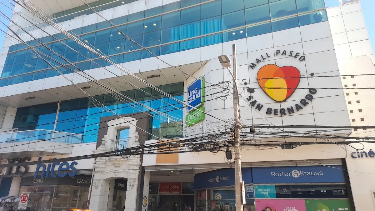 Mall Paseo San Bernardo