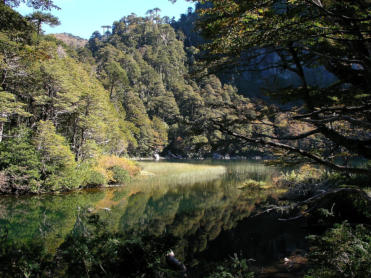 Parque Nacional Huerquehue