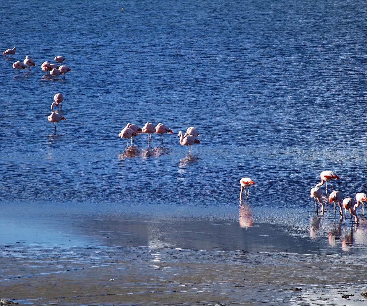 Lago Chungará