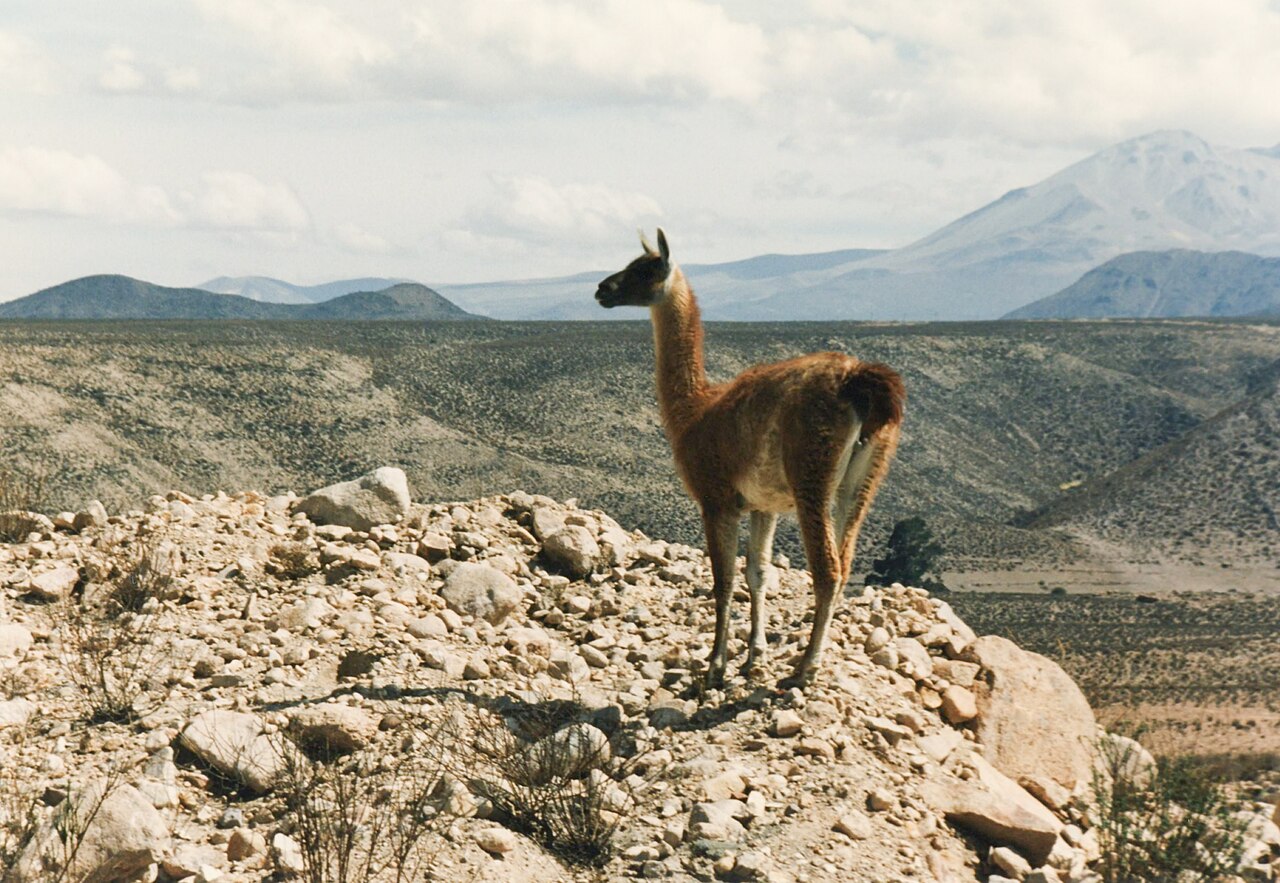 Parque Nacional Lauca