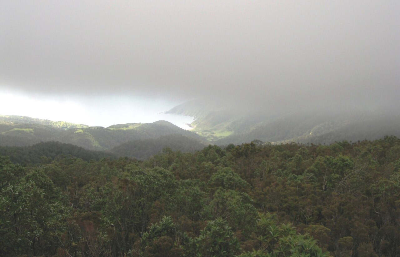 Parque Oncol
