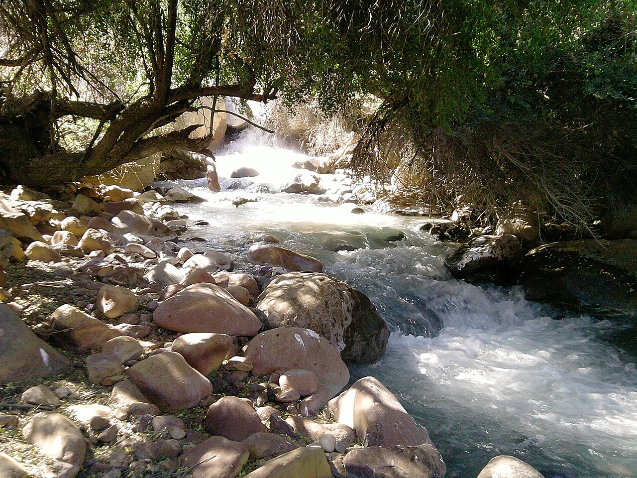 Santuario de la Naturaleza Yerba Loca